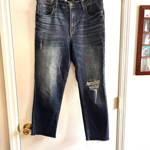 Kut from the Kloth Ab Fab Mom Jean